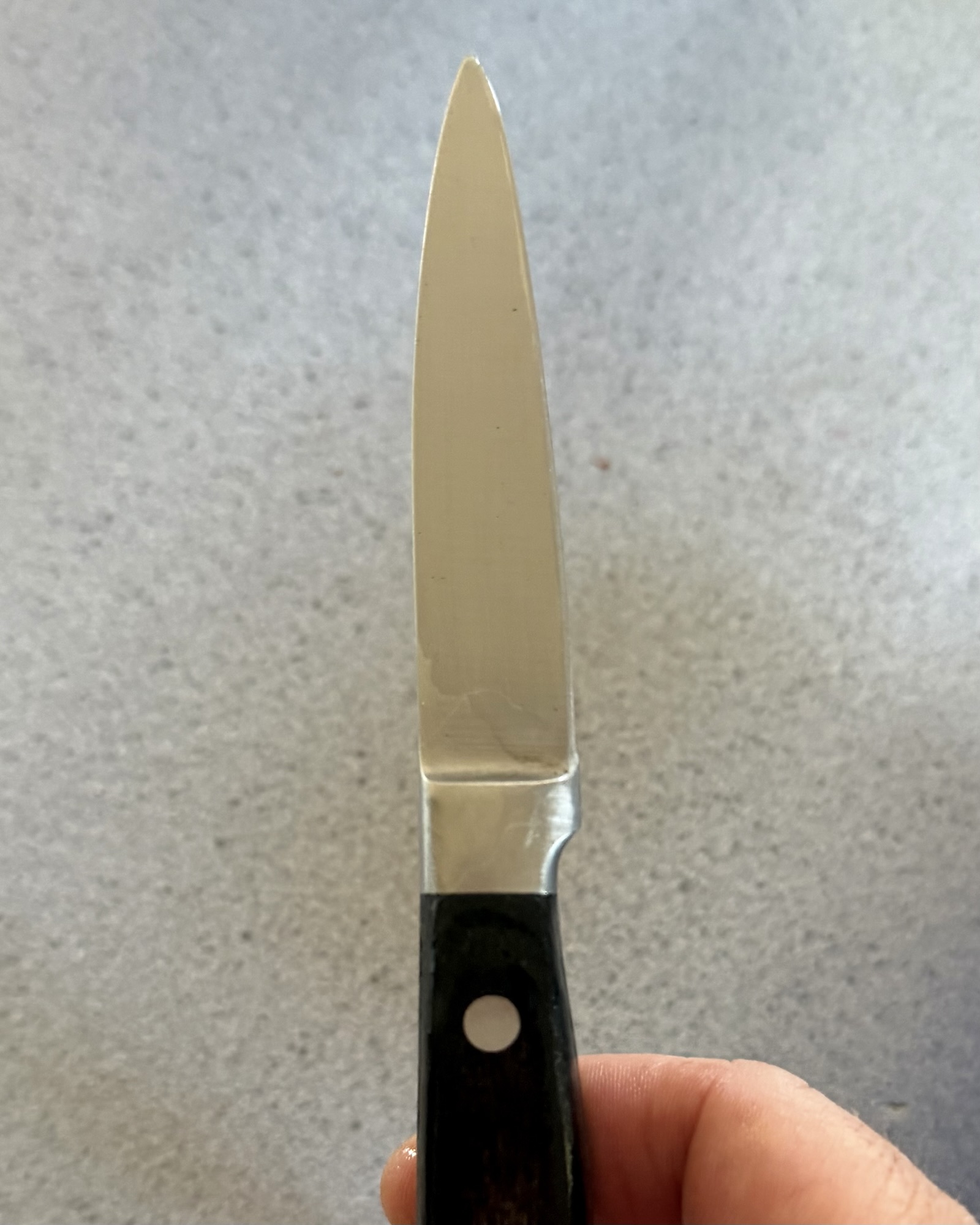 Old black-handled paring knife held upright over a kitchen counter.