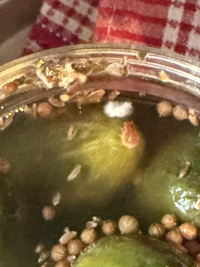 A photo of the side of a lacto fermented pickles jar that has developed mold.